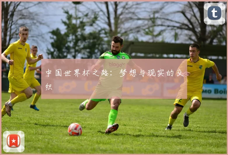 中国世界杯之路：梦想与现实的交织