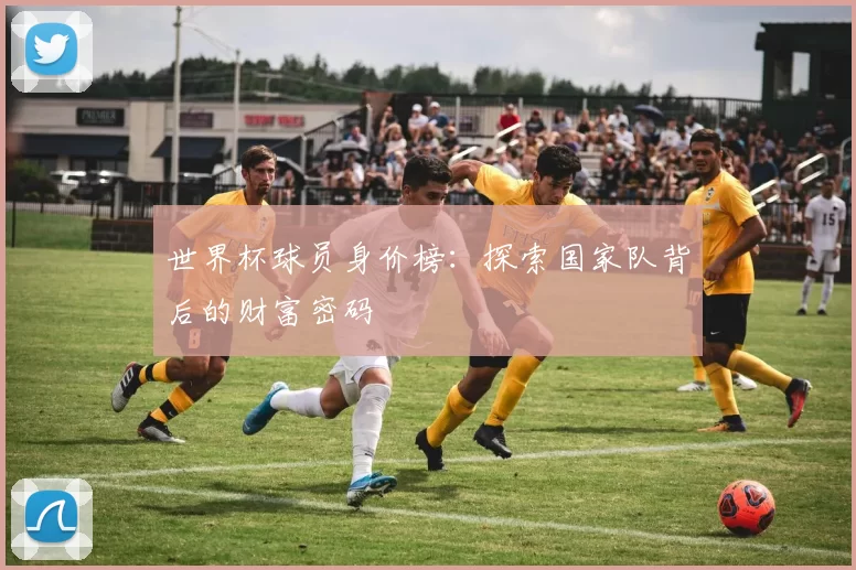 世界杯球员身价榜:探索国家队背后的财富密码