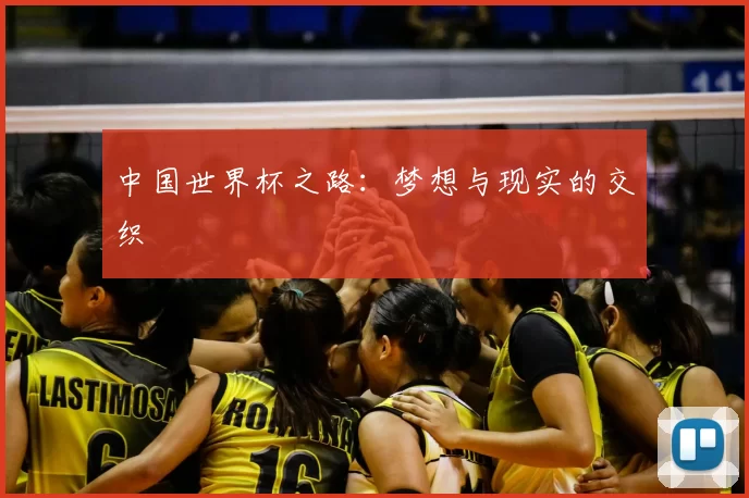 中国世界杯之路:梦想与现实的交织