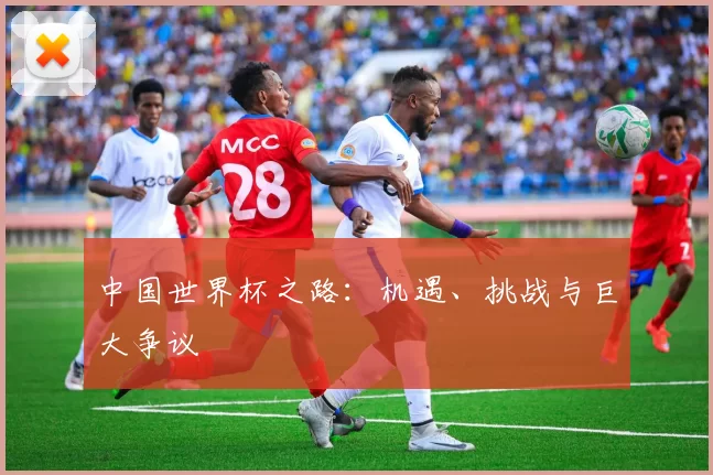 中国世界杯之路:机遇、挑战与巨大争议