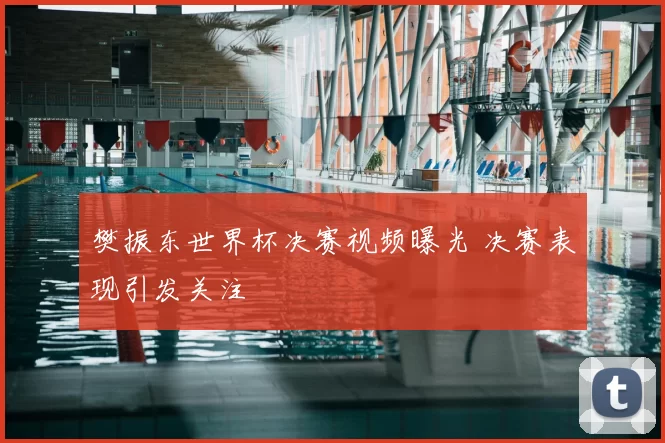 樊振东世界杯决赛视频曝光 决赛表现引发关注