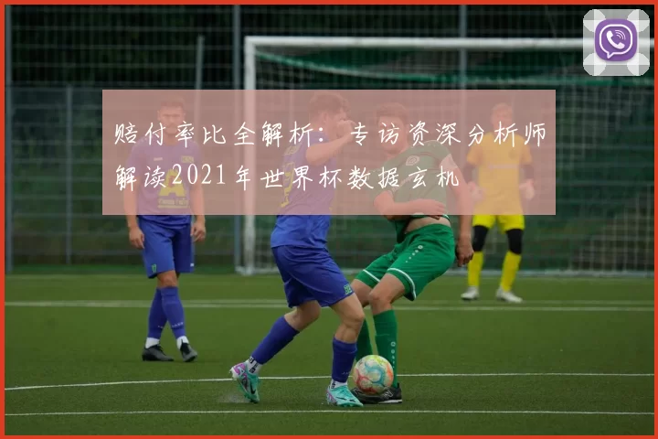 赔付率比全解析：专访资深分析师解读2021年世界杯数据玄机