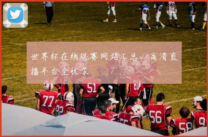 世界杯在线观赛网站汇总,高清直播平台全收录