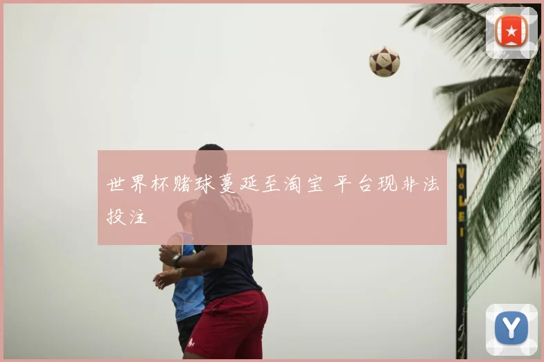 世界杯赌球蔓延至淘宝 平台现非法投注