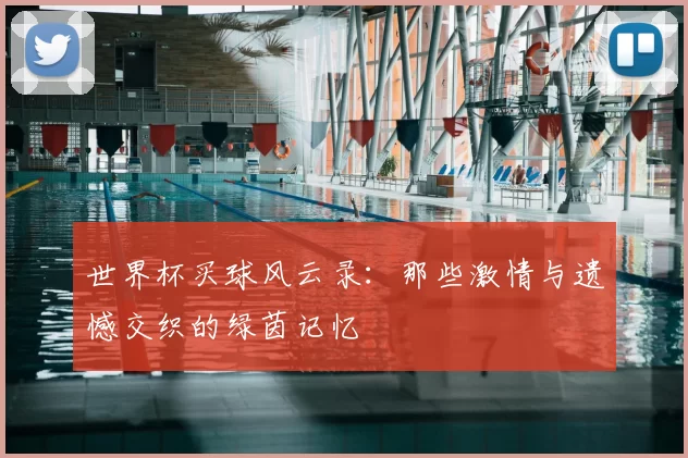 世界杯买球风云录:那些激情与遗憾交织的绿茵记忆