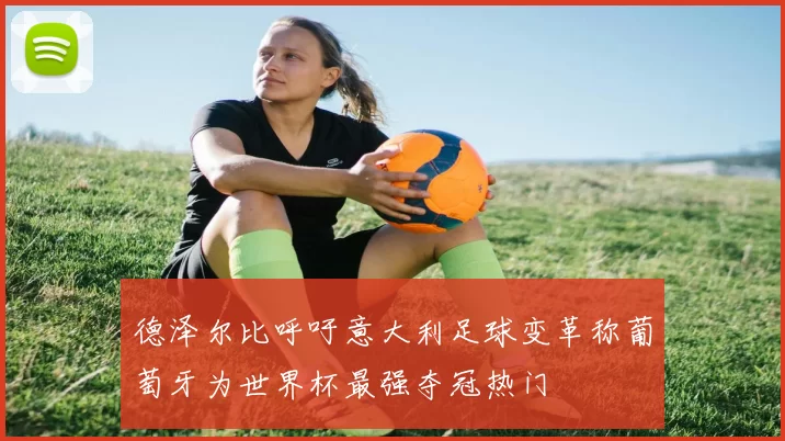 德泽尔比呼吁意大利足球变革称葡萄牙为世界杯最强夺冠热门