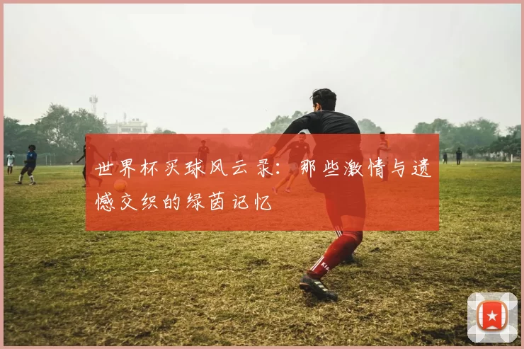 世界杯买球风云录:那些激情与遗憾交织的绿茵记忆