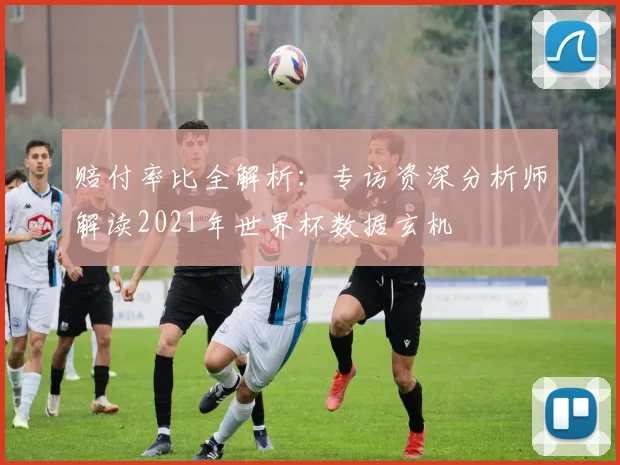 赔付率比全解析:专访资深分析师解读2021年世界杯数据玄机
