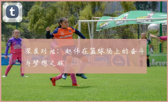 深度对话:赵伟在篮球场上的奋斗与梦想之旅