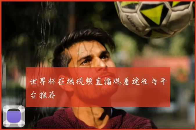 世界杯在线视频直播观看途径与平台推荐