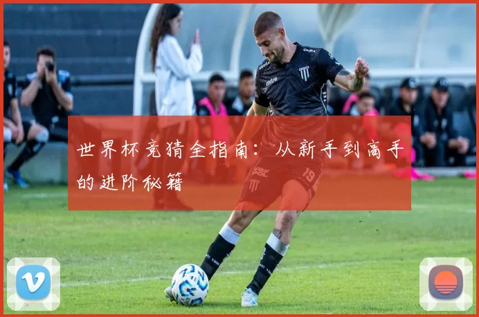 世界杯竞猜全指南：从新手到高手的进阶秘籍